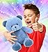 DolliBu Plush Bear Stuffed Animal - Soft Huggable Baby Blue Bear, Adorable Playtime Plush Toy, Cute Wildlife Cuddle Gifts for Kids and Adults - 8 Inches