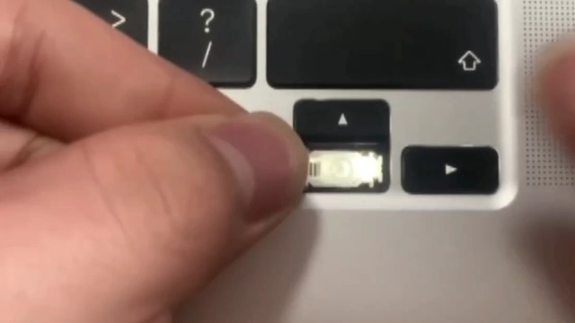 ⌘Grin⌘ 51w5ipxLCBL.jpg