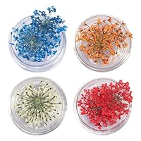 Amazon.co.jp: 【AAGWW】 ドライフラワー ネイルパーツ 押し花