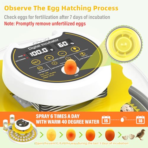 Image of Quail Egg Incubator for Hatching Eggs with Automatic Egg Turning and Humidity Control, 40 Quail Eggs Capacity Brooder Poultry Incubators, Also for Partridge, Parrot, Pigeon, and Other Types of Bird