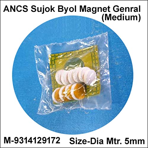 Image of Sujok Byol Magnet Medium 5mm (60pc)