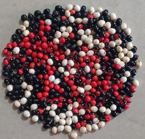 Image of Chirmi Gunja Seeds 30 Grams (10 Grams each /Approx 51 Pcs each)(Red, White & Black Seeds)