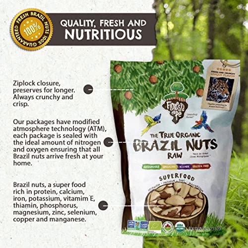 Jumbo Size - The True Organic Premium Brazil Nuts (15oz) Raw & Unsalted | Kosher | Non-Gmo | Certified Organic | Fresh | Vegan | Gluten Free | Keto and Paleo Friendly | Sustainably Harvested
