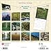 Tennessee Wild & Scenic | 2025 12 x 24 Inch Monthly Square Wall Calendar | Plastic-Free | BrownTrout | USA United States of America Southeast State Nature