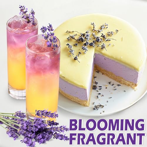 Image of 130+ Edible Lavender Sprigs for Cake & Cocktails Garnish, 2oz (57g) Whole Dried Lavender Stems - Culinary Herb for Tea, Baking, Desserts, DIY & Artistic Crafts