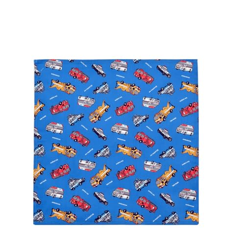 �R�b�g�� �����`�����}�b�g �����`35×25 �����`40×40�yQO-YY657�z��Ηm�i�X �[�C�� �͂��炭�� ���ٓ���� �����`�n���J�` �����` ���w�Z �c�t�� �w�� (�͂��炭�ԁi�u���[�j, �����`(��) 40×40cm)