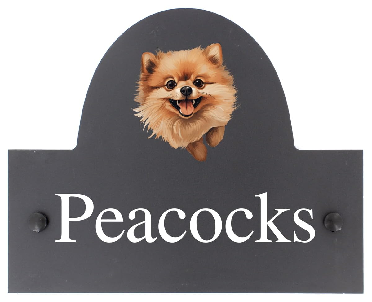 Targa personalizzabile con nome o numero civico in ardesia con cane Pomerania, 25 x 20 cm