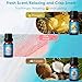 SALUBRITO Summer Fragrance Oils Set, Premium Essential Oils Set for Diffuser, Candle, Soap Making, Fresh Cotton, Coconut, Mojito, Pineapple, Ocean Breeze, Pink Island, Strong Scented Oils