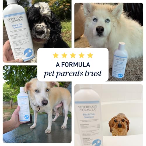 Image of Veterinary Formula Flea and Tick Shampoo for Dogs and Cats, Flea and Tick Control Formula Helps Soothe Itchy Skin While Cleansing, Paraben, Dye, and Soap Free, 2 Pack, 16 fl oz Each