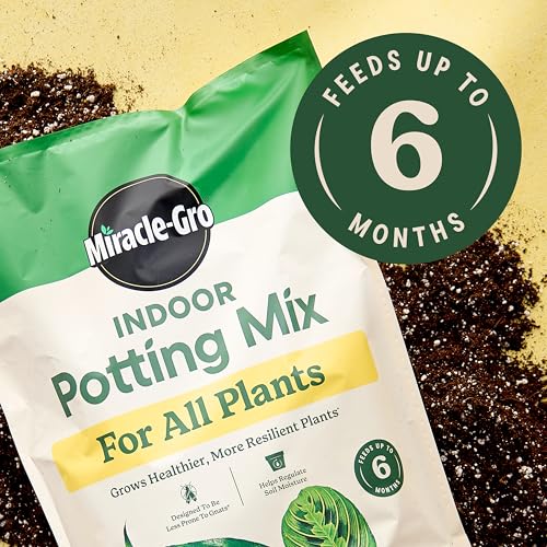 Miracle-Gro Indoor Plant Grow, Feed & Protect Houseplant Care Bundle - image 3