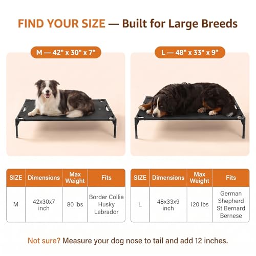 Image of Petsfit 48 Inch Elevated Dog Bed for Large Dogs, Patented Anti-Sag Cot