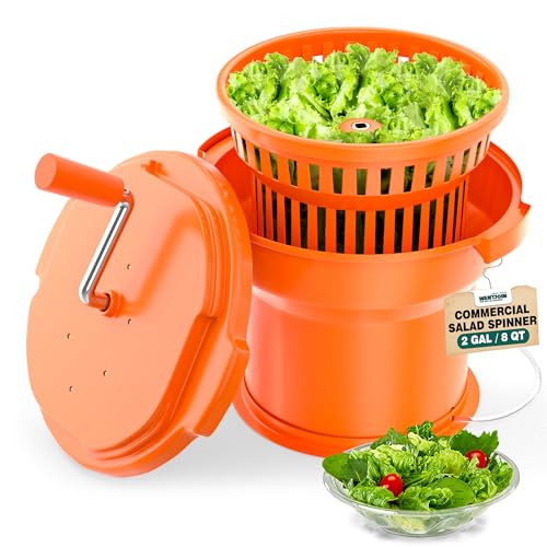 Best Salad Spinner: A Complete Buying Guide - pump salad spinner