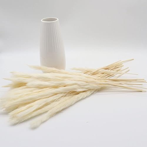 Miniatura 5 de Paquete de 30 unidades de hierba seca de las pampas secas naturales de 17 pulgadas (16.9 in) para decoración del hogar, decoración de boda,