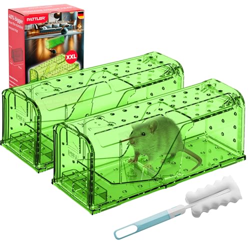 PATTLERĀ® | Large Humane Mouse Trap for Indoor and Outdoor Home | Mechanical Reusable Live Mouse