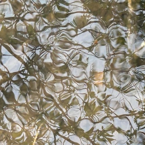 Page de couverture de Episode 334: The Institute of Spectra-Sonic Sound 4.20.24