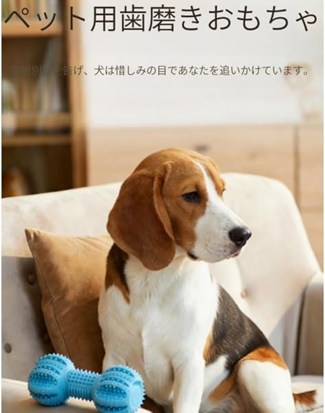 犬用おもちゃ 歯磨きガム 牛皮丈夫なおやつ入れボーン 歯垢除去口臭対策 退屈しのぎ問題行動防止 しつけごほうび用 中型大型小型犬兼用 牛皮色 (赤) - 2