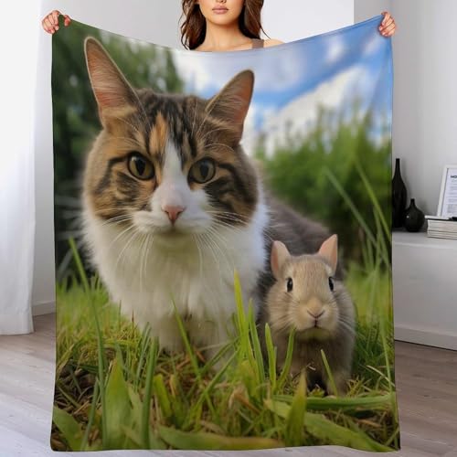 Couverture chat mignon facile d'entretien plaid lit