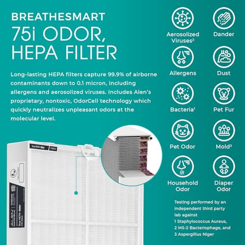 Alen BreatheSmart 75i in Use
