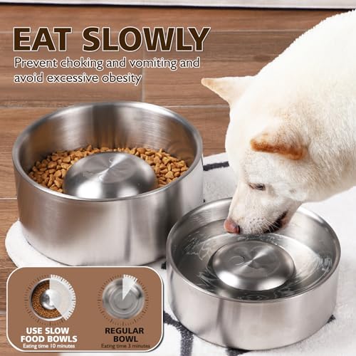 Slow Feeder Hundenapf Einfügung,Anti Schling Napf Anti Choke Große Hundenäpfe Kieselgel Slow Feeder Bowl für Hunde Fressnäpfe für Hunde Zubehör,Entlastet die Verdauung (Hundenapf)