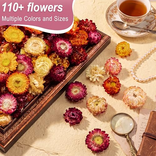 Flores Secas Comestibles Mezcladas Color Helichrysum Strawflower miniatura 3