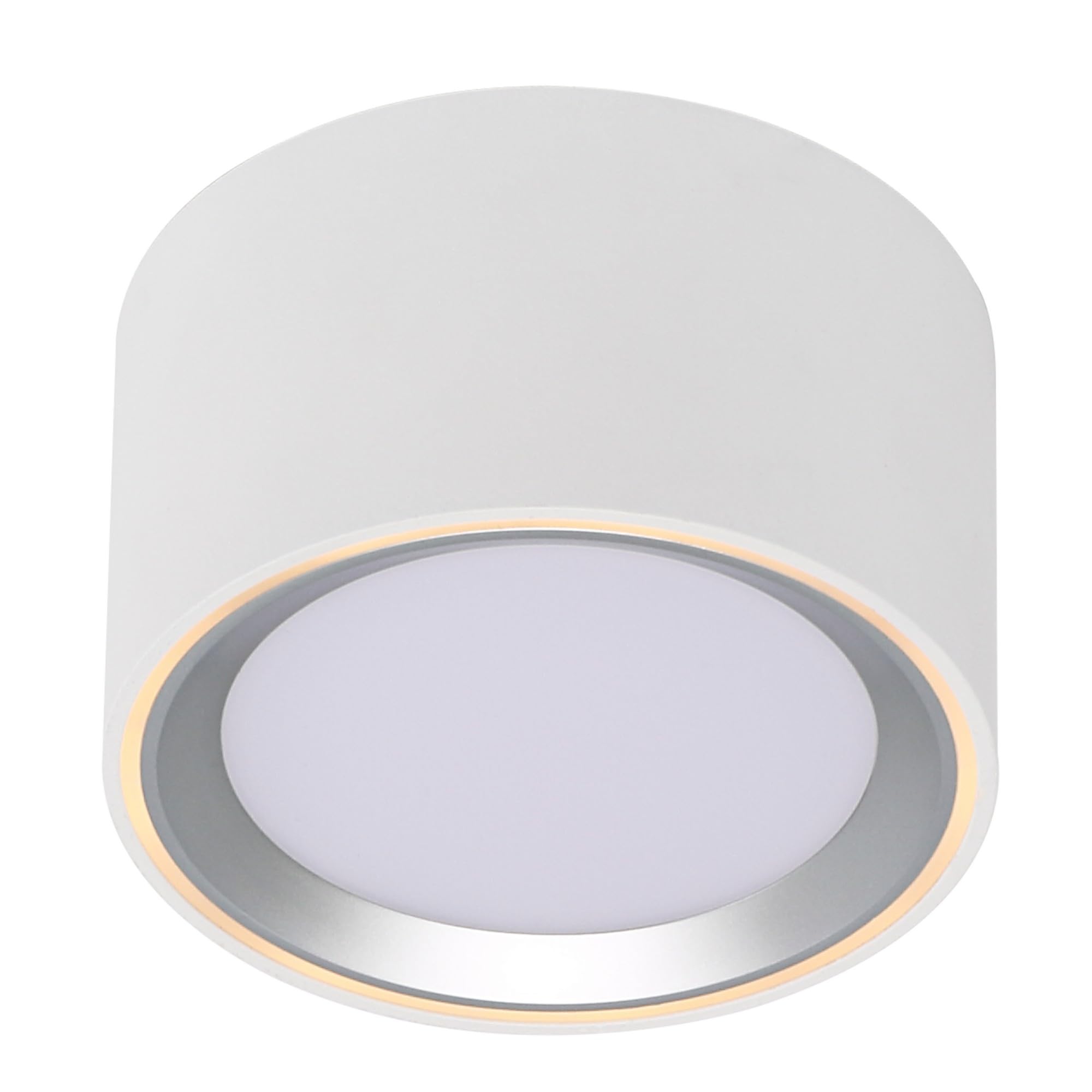 Nordlux FALLON LED Aufbaustrahler im 2er-Set – Dimmbar (3-Stufen Moodmaker™), 2700K Warmweiß, 500 Lumen, Schwenkbar, Weiß/Stahl – Ideal für Decke & Wand, energiesparend