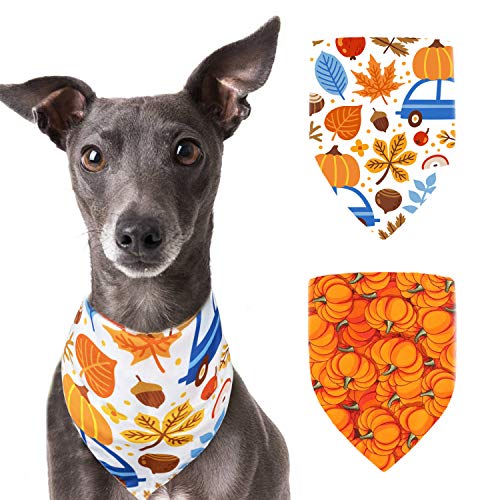Thanksgiving Dog Bandana Fall Holiday Pumpkin 2 Pack Small Medium Large Dog Scarf Cats Puppy Pets