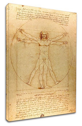Tableau Homme de Vitruve de Vinci 80x110 cm pour habiller un grand mur vide avec élégance