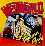 Sonic Boom Boy - Picture sleeve