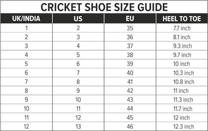 Image of DSC Akido Badminton Shoes