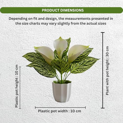 Image of fancymart Artificial Calla Lily Plant with Pot - 30 cm Height Decorative Flower Leaves (Pack of 1) | Realistic Faux Plant for Home & Office Decor | Table, Shelf & Desk Decoration