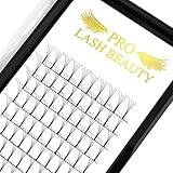 PRO LASHBEAUTY