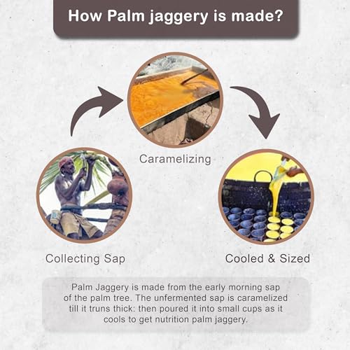 Image of Food Mynk Palm Jaggery (250g) | Thati Bellam | Karupatti | Date Palm jaggery | Nolen Gur | Khajur Gud | Patali Gur | Panavellam | No Preservatives (250g)