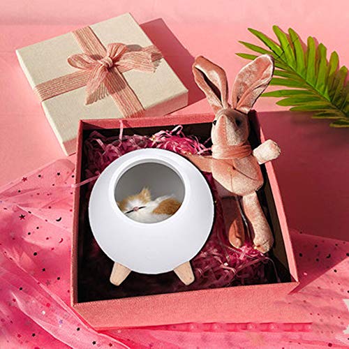 Preisvergleich Produktbild Katze Nachtlicht, kleines Haustierzimmer USB wiederaufladbare Kinderatmosphäre Licht, schön verpackt - Geburtstagsgeschenk, geeignet für Kinder / Jungen / Mädchen süße Schlafzimmerbeleuchtung