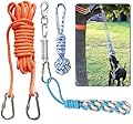 TUAHOO Dog Outdoor Hanging Bungee Tug Toy, Interactive Tether Tug Toy for Pitbull & Small to Large Dogs to Pull Exercise & Solo Play, Tree Tug of War with 2 Chew Rope Toys