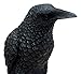 Ebros Gift Gothic Raven Figurine Crow Scavenger Bird Perching On Rock Sculpture 6