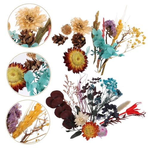 Kit Mini Flores Secas Naturales para Manualidades miniatura 7