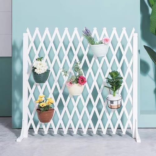 Clôture en treillis rétractable en bois blanc avec support plantes grimpantes