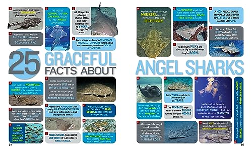 1,000 Facts About Sharks - Image 3