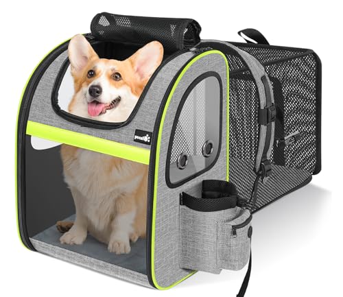 Pecute Mochila Gato XL>6kg-<8kg Mochilas para Gatos y Perro Transportin Gato Expandible y Plegable para Viajar en Tren/automóvil/Restaurante