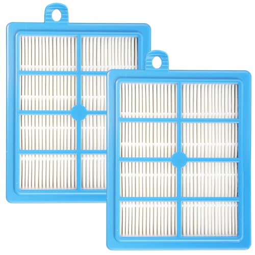 LRFDRESS Vacuum Replacement H13 HEPA Filter Compatible with Philips FC9150 FC8038/01 FC9088 FC9084 S-Filter Vacuum Cleaner, AEG, Performer LX8 Electrolux, Tornado, Volnado, Volta