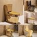 Modern Dual Flush Toilet Gold Plating Design, Universal Height One Piece Dual Flush With Mute Ceramic Toilet for Home Bathroom(C,680x340x820mm)
