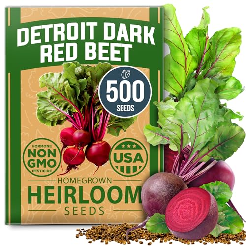 HOME GROWN Non GMO Detroit Dark Red Beet Seeds Pack - 500 Heirloom Vegetable Seeds for Planting - Red Beet for Home Garden High Germination(Beta vulgaris)