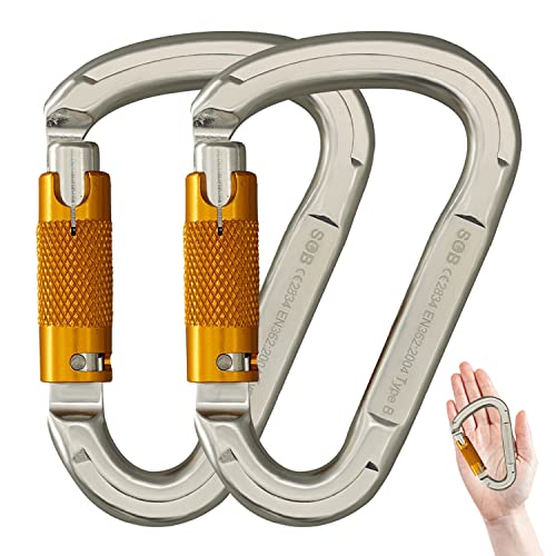 Carabiner Caribeener Clips Heavy Duty Large Alloy Steel D Ring Shape Locking Carabiner for Hammock,Keychain,Outdoor,Camping,Hiking,Dog Leash Harness