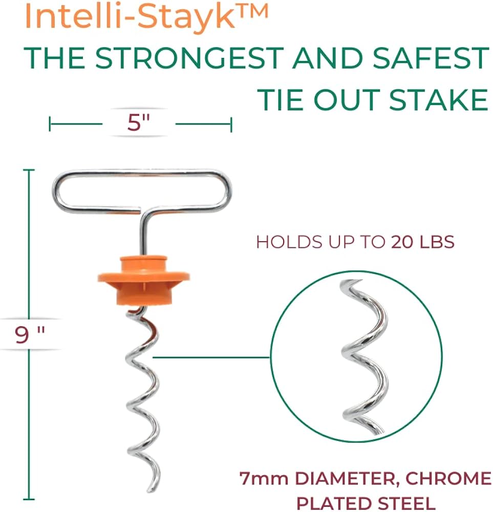 7Mm Dog Tie Out Essentials: Durability Meets Safety