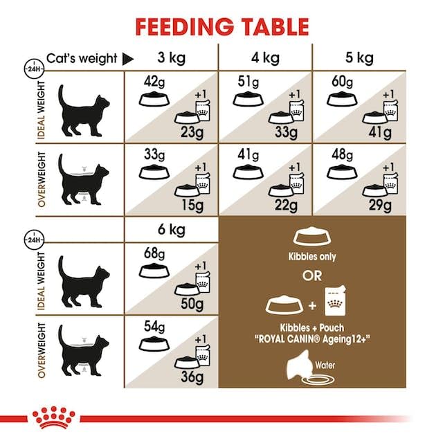 ROYAL CANIN Senior AGEING 12+ | Doppelpack | 2 x 400 g | Alleinfuttermittel für Senior Katzen ab dem 12. Lebensjahr | Kann dazu beitragen die Harnwegsfunktion zu unterstützen