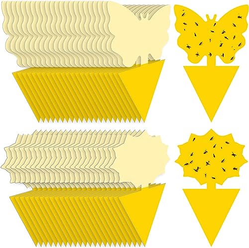 Fruit Fly Sticky Traps 40 PCS Fungus Gnat TrapsBug Traps Gnat Killer for Indoor Outdoor House Kitchen Plants Whitefly Mosquitos Flying Insects Yellow