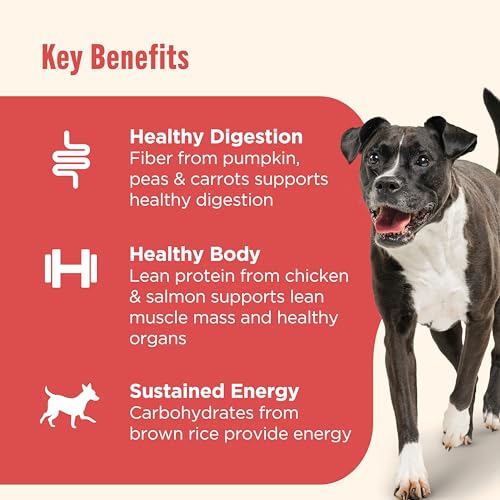 Image of Nutrish Gentle Digestion Premium Pate Wet Dog Food,Real Chicken,Pumpkin & Salmon Recipe,13 oz. Can,(Rachael Ray),(Pack of 24)