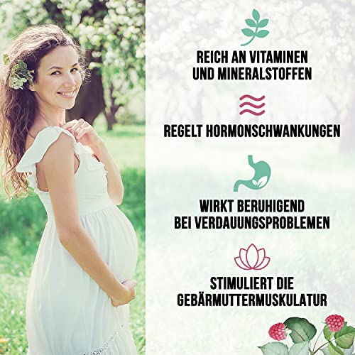 ORIGEENS Himbeerblättertee BIO 200g Herkunft Europa - Himbeerblätter Tee Schwangerschaft, Still Tee, Kinderwunsch tee