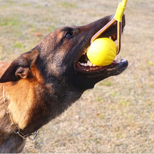 Image of Petarchi RuffFoam Rope Ball Dog Toy | Interactive Pet Toy for Training Tug Chew & Fetch | Improves Dental Health | Non-Toxic & Floatable | Indoor & Outdoor Play (Large - 9cm Diameter)