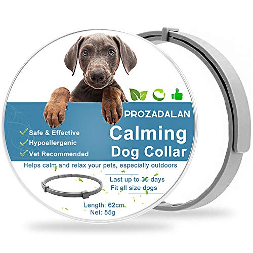 pheromone collars for dogs australia